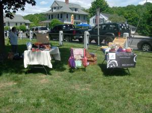 Laurel Festival 2014 001