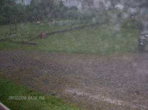 dyeing party weather 002