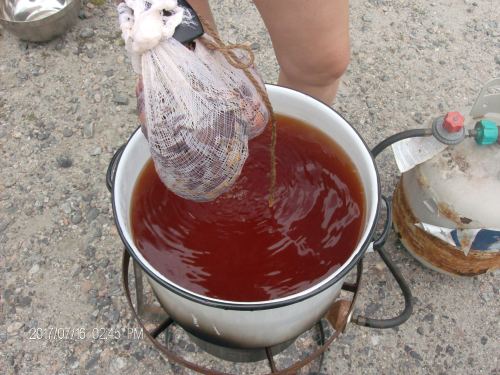 dyeing party july 2016 006