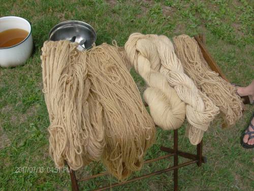 dyeing party july 2016 009