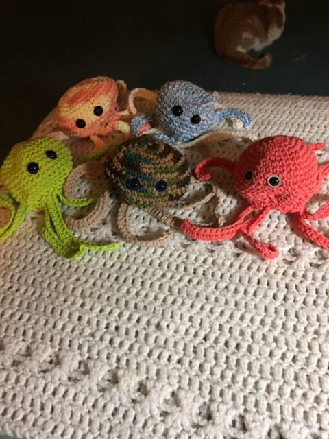octopuses